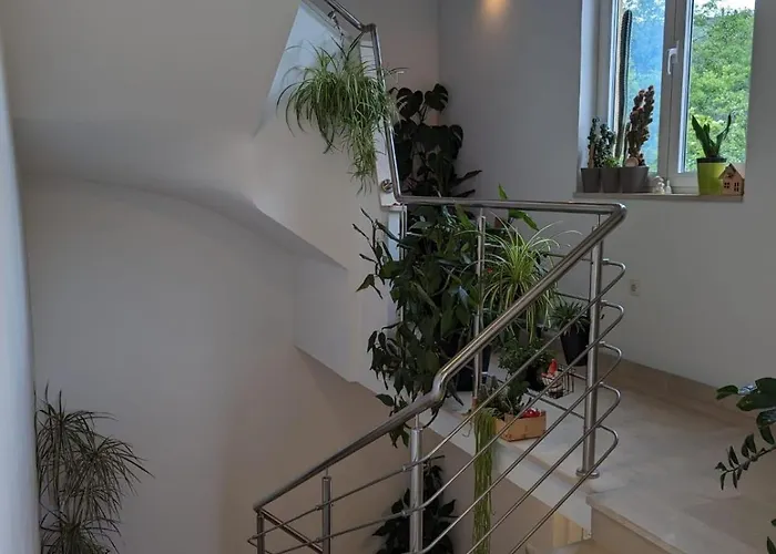 Vesna * קריקווניצה